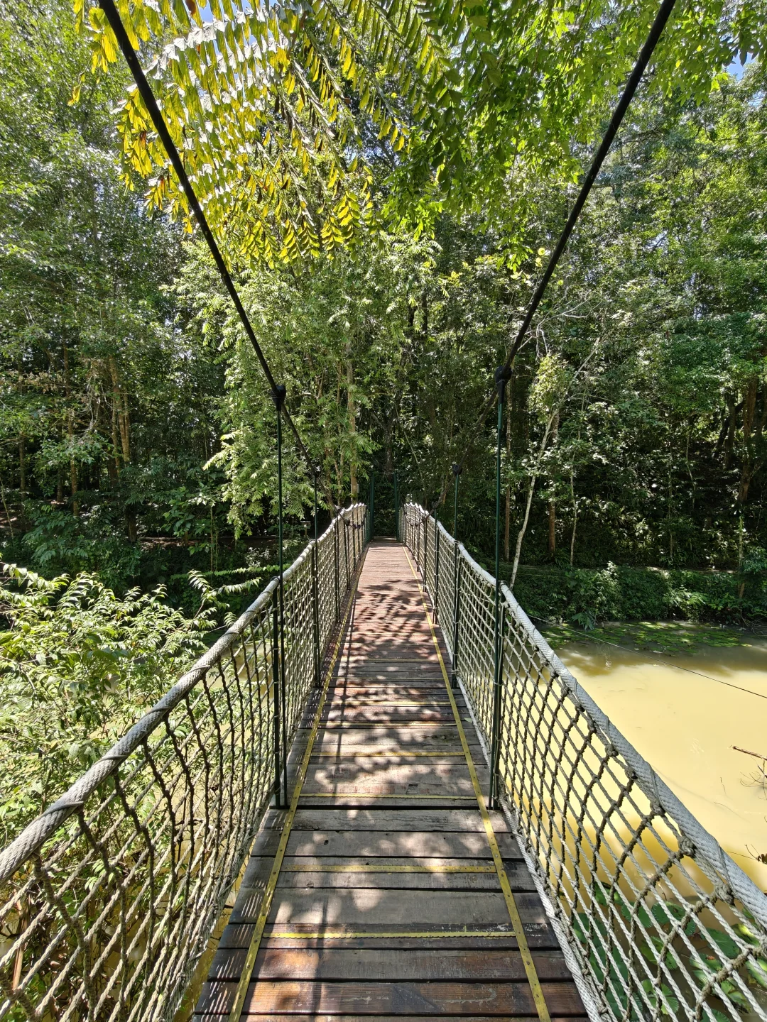 22km用脚丈量西双版纳热带植物园