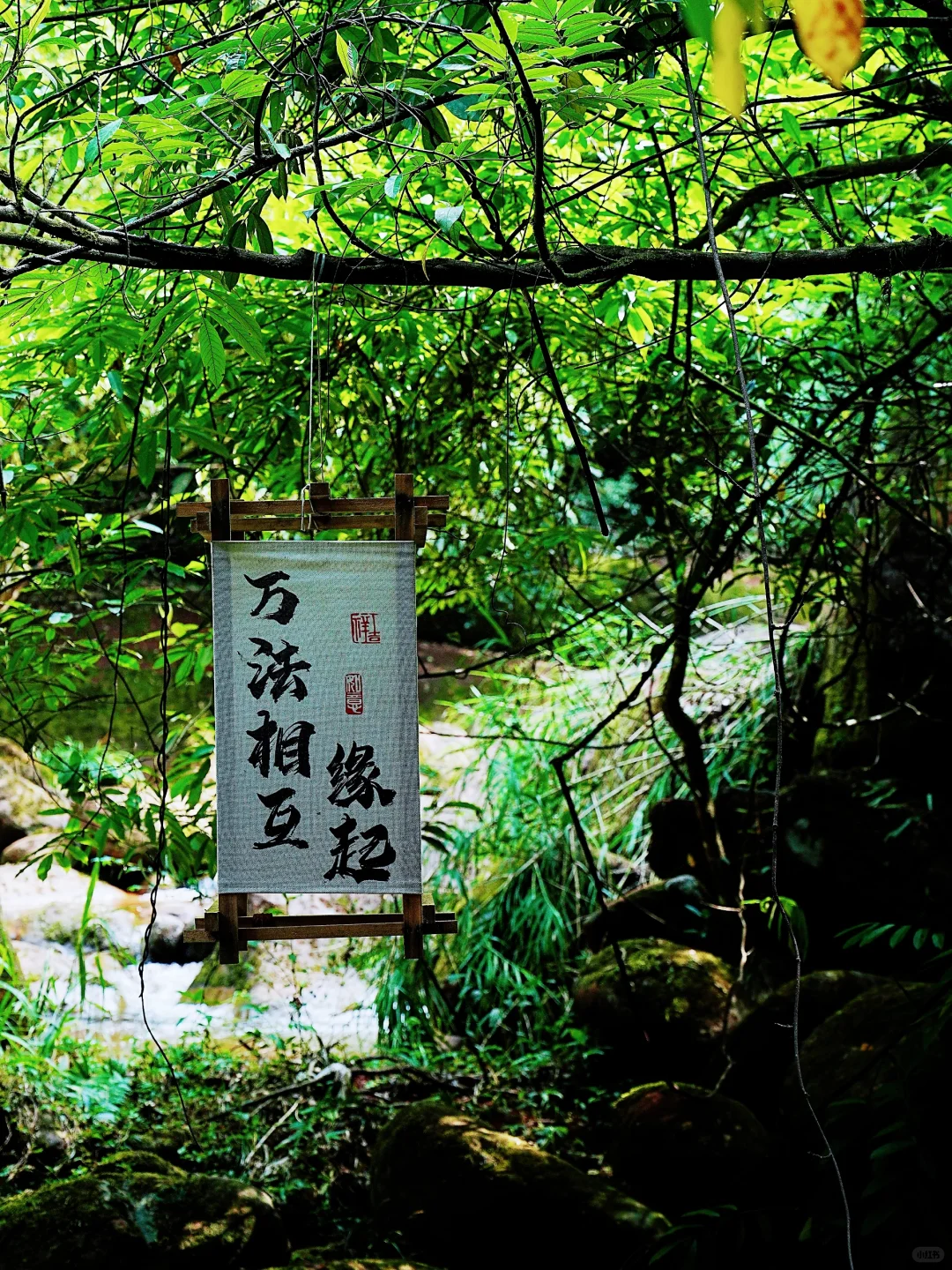 听劝！没做好攻略前，千万别去赤水丹霞‼️