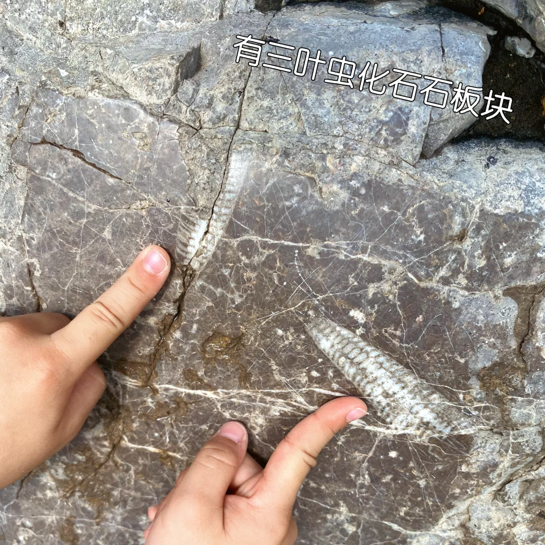 赵州桥➕姊妹桥“弘济桥”