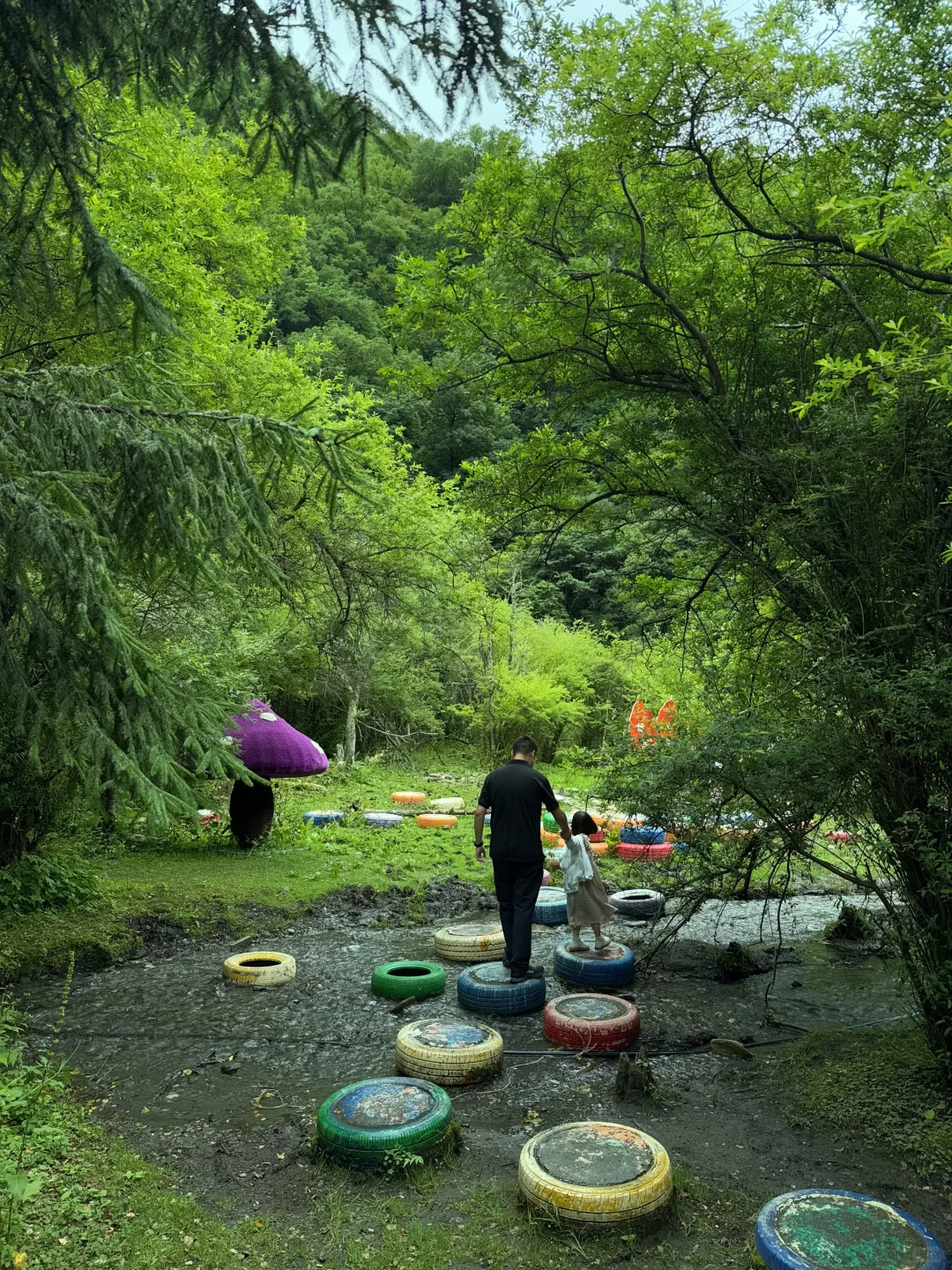 茂县 | | 叠溪松坪沟