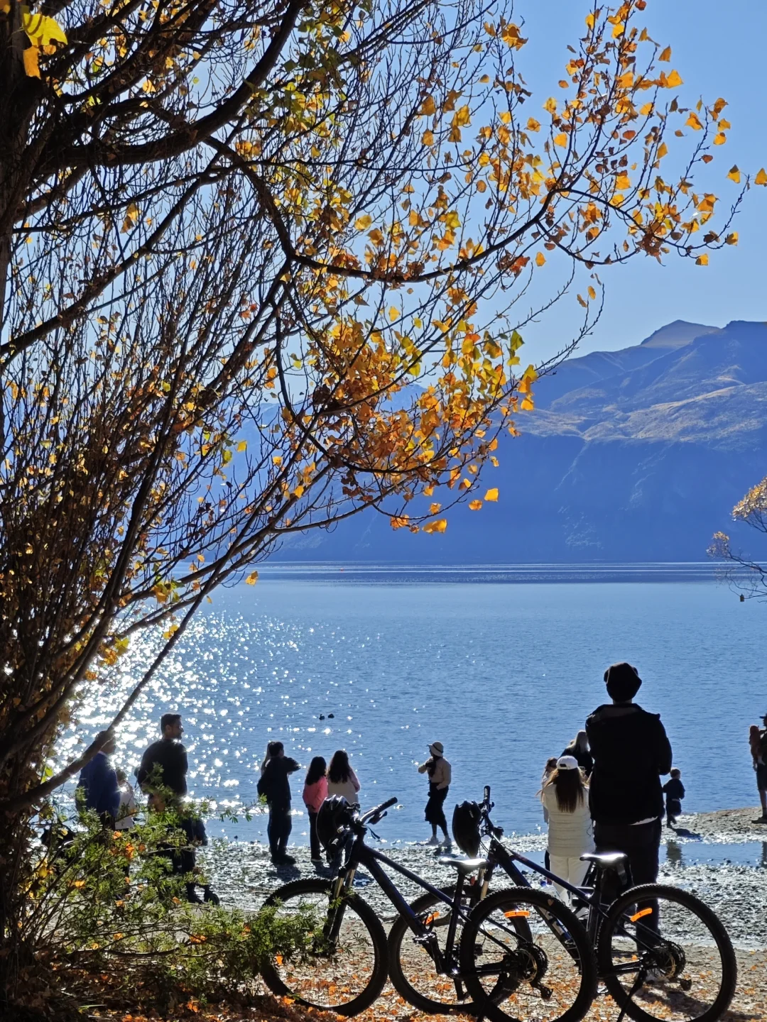 新西兰五一假期人均1.1w，7天6晚，不自驾版