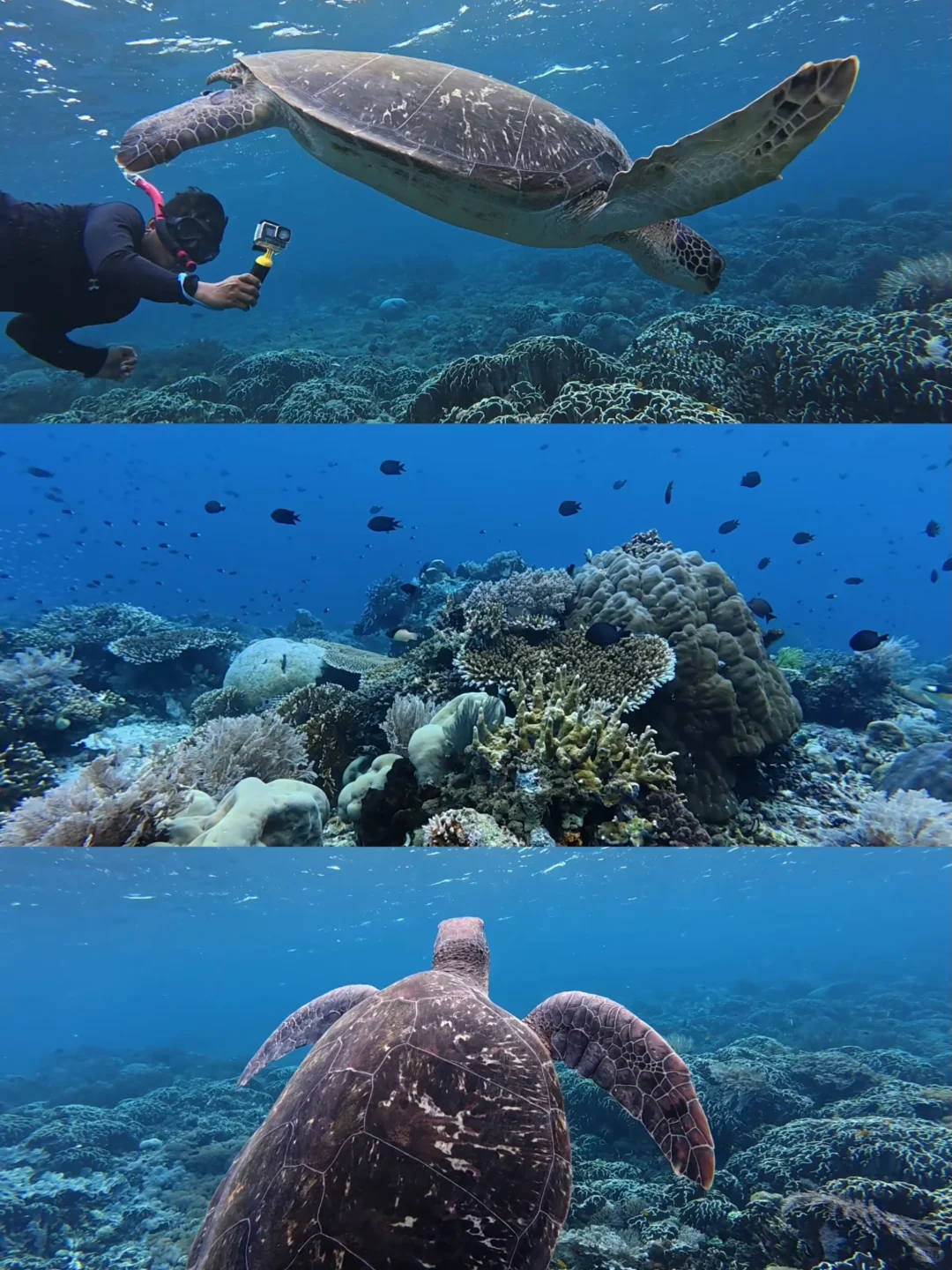 孤独星球这一页⛰️🦌 | 印尼8天7晚攻略
