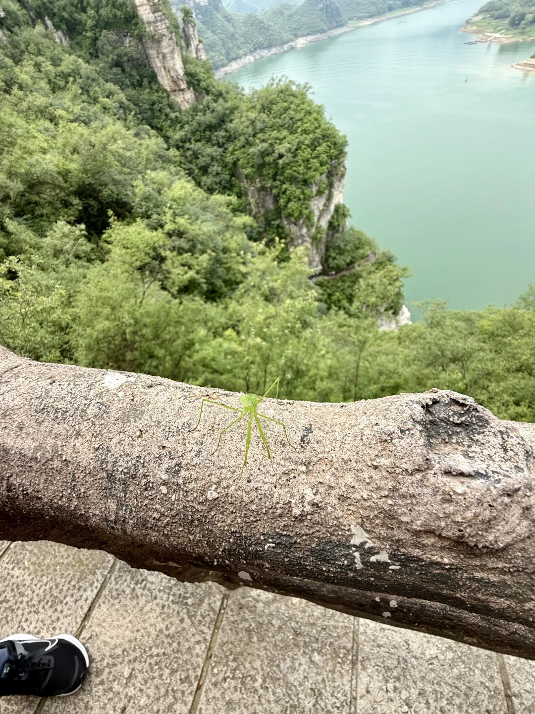 去不成桂林，就来保定易水湖吧⛰️