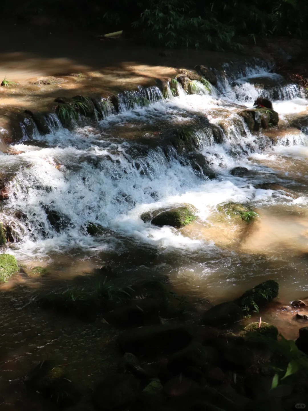 川西竹海📍1h直达，玻璃天桥直通云端！