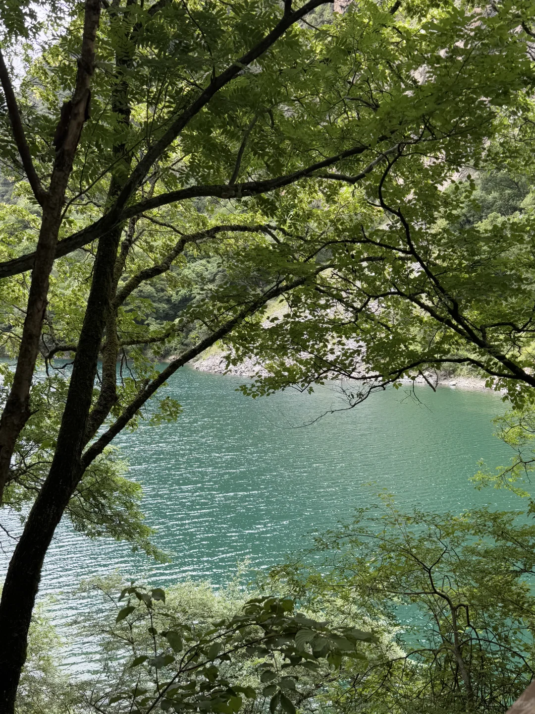 茂县 | | 叠溪松坪沟