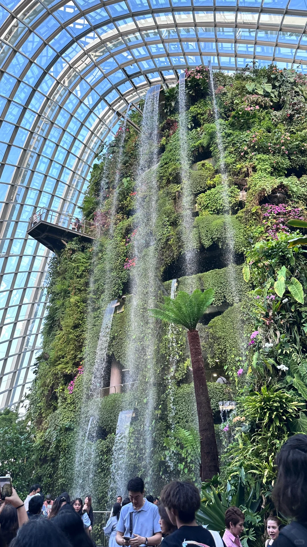 女生勇闯新加坡两天一晚