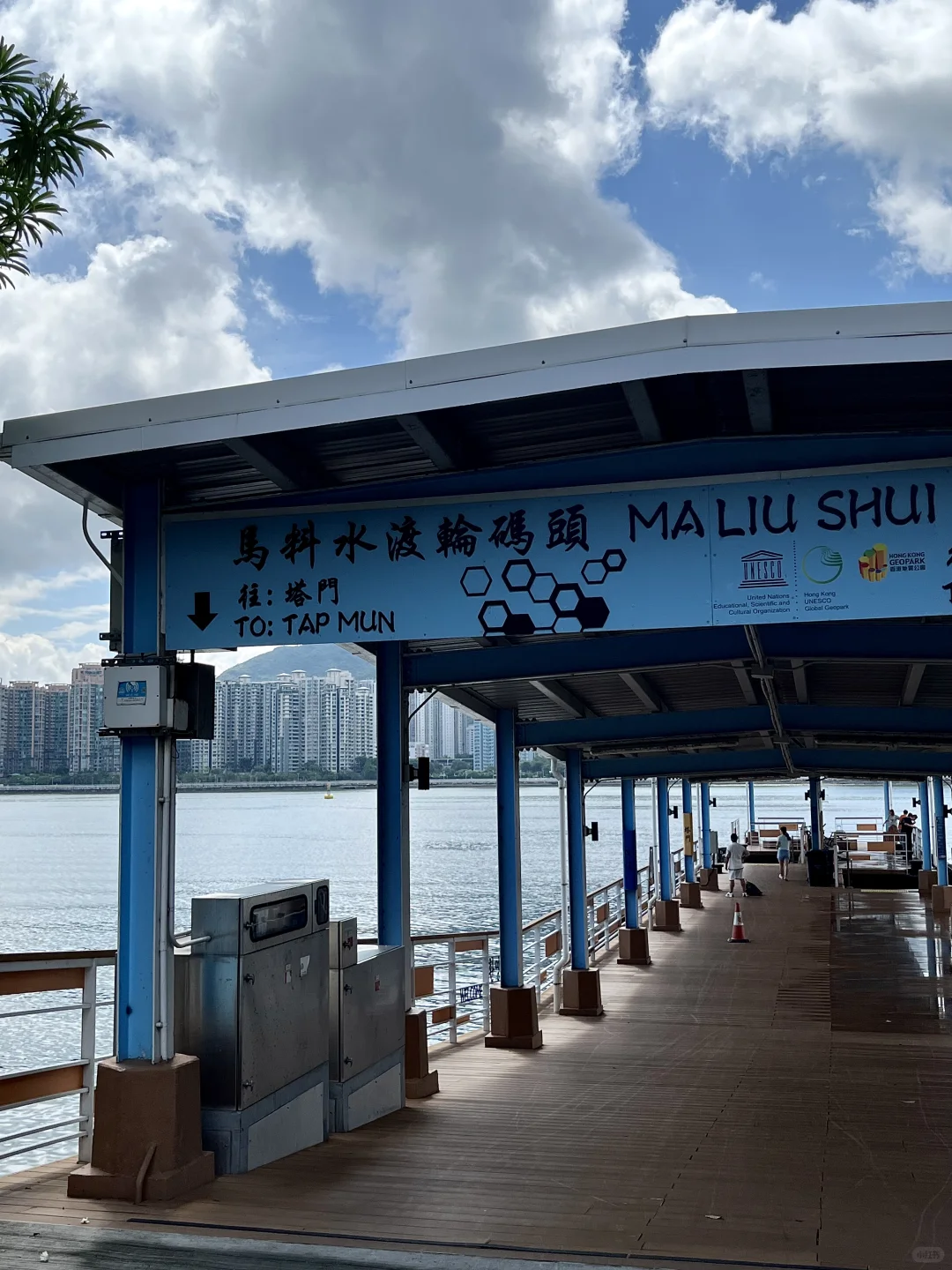 来香港别挤坚尼地了！！花20💰直达小新西兰！！