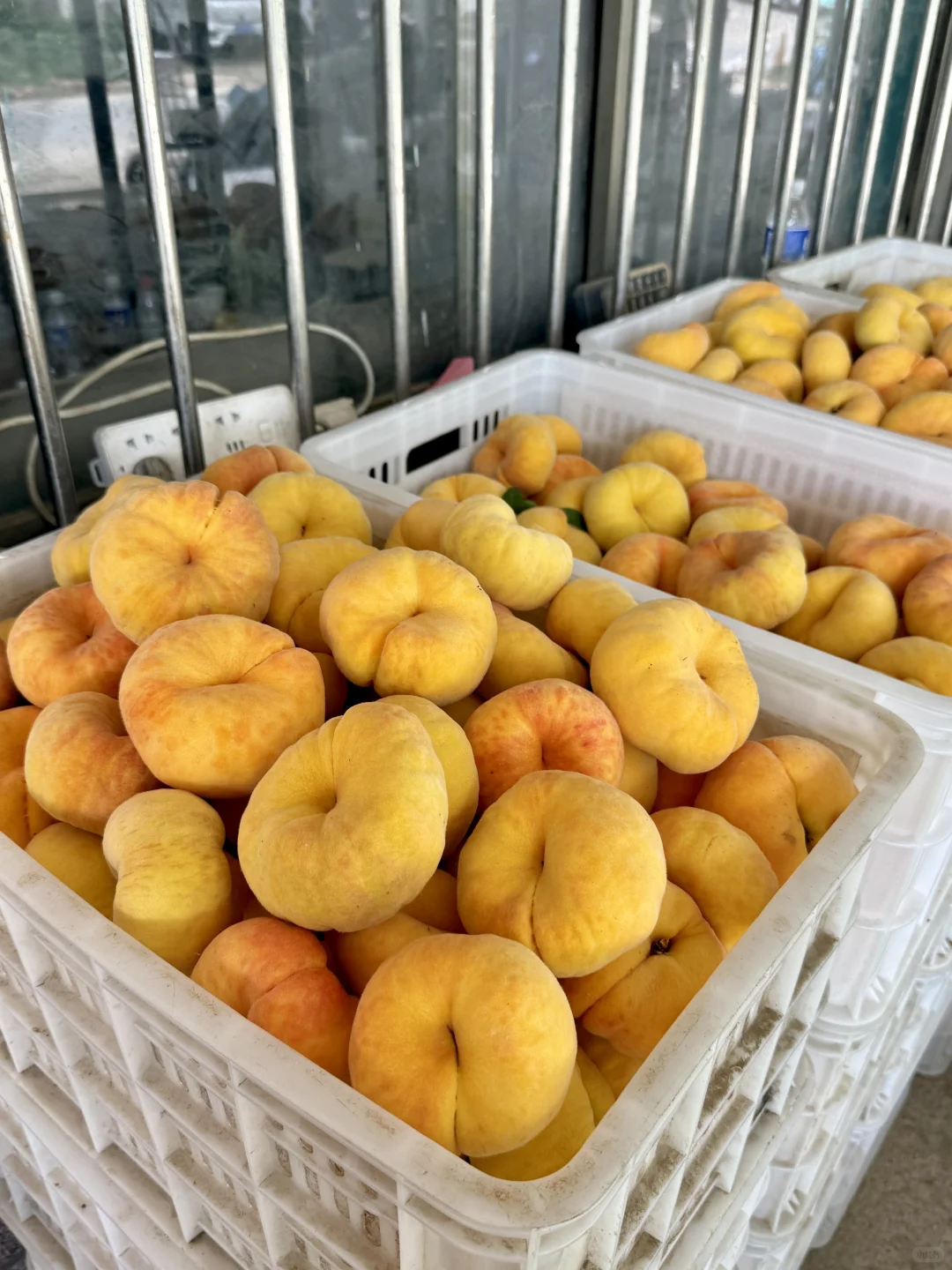 放心吧！20多我也得让你们感受到物超所值！