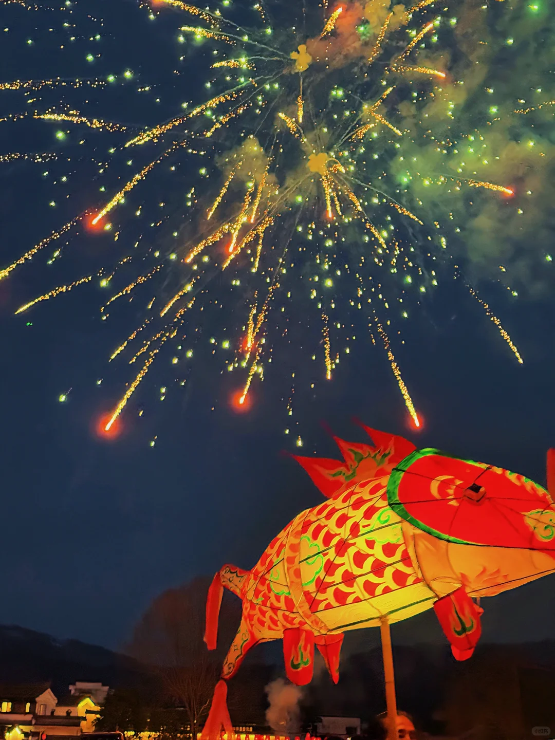 辛弃疾没骗我～“一夜鱼龙舞”真的很浪漫呀