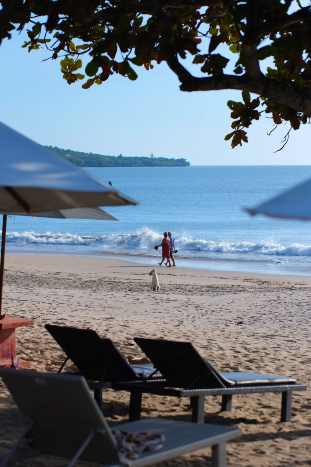 孤独星球这一页⛰️🦌 | 印尼8天7晚攻略