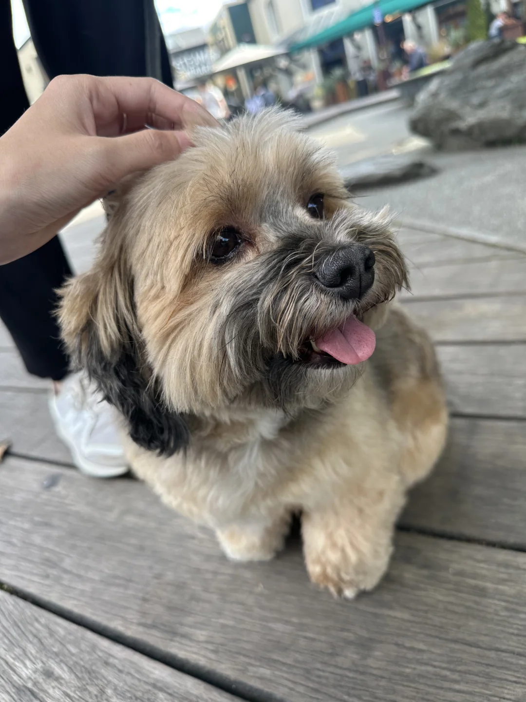 随机掉落纽村碎片