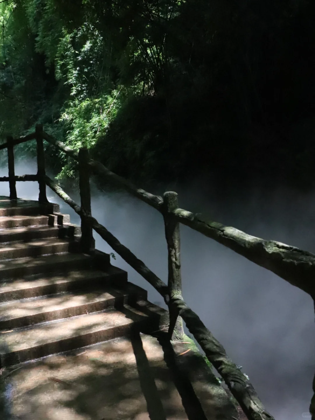 川西竹海📍1h直达，玻璃天桥直通云端！