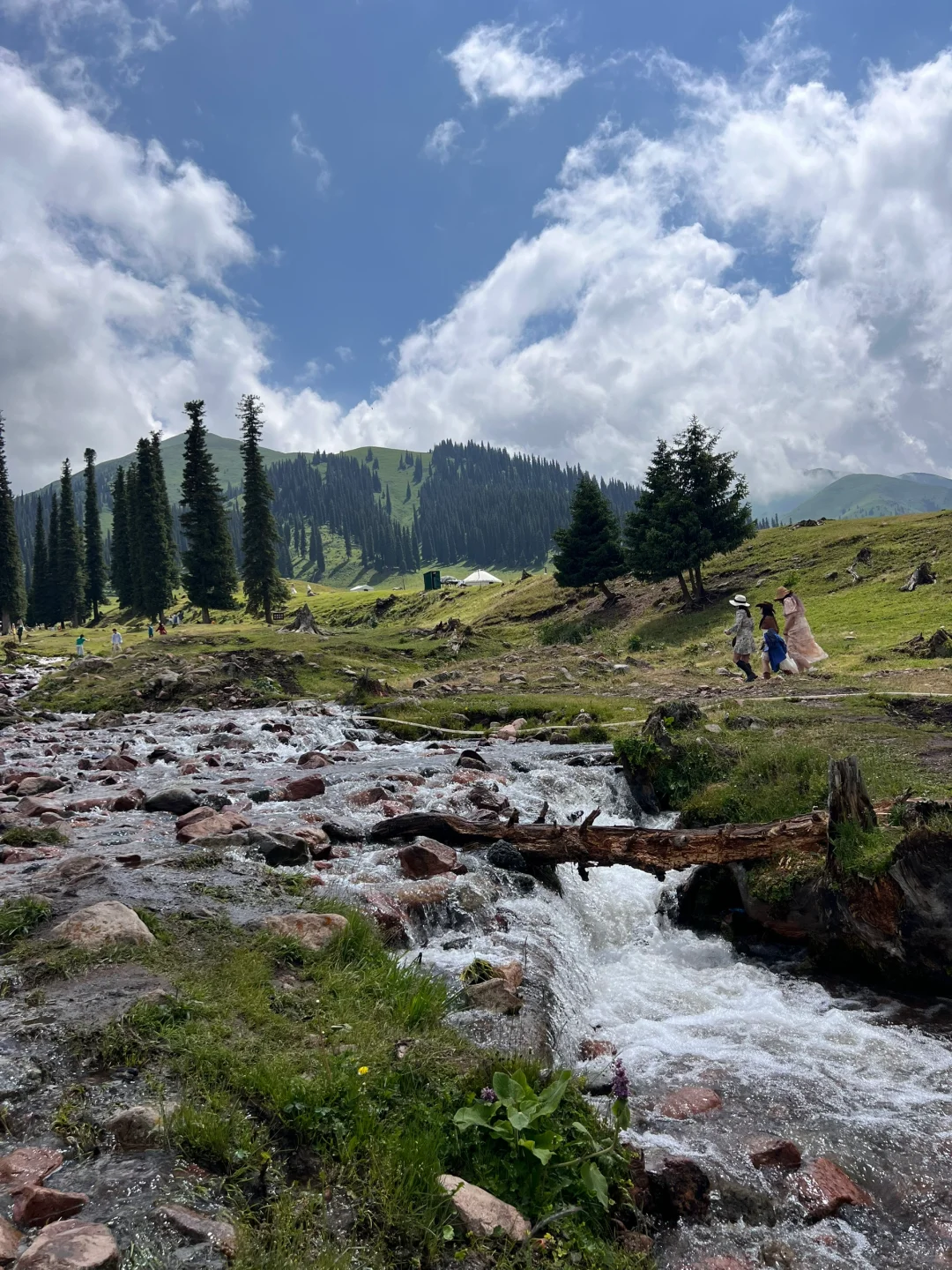 6月24日 那拉提 ~ 新疆游