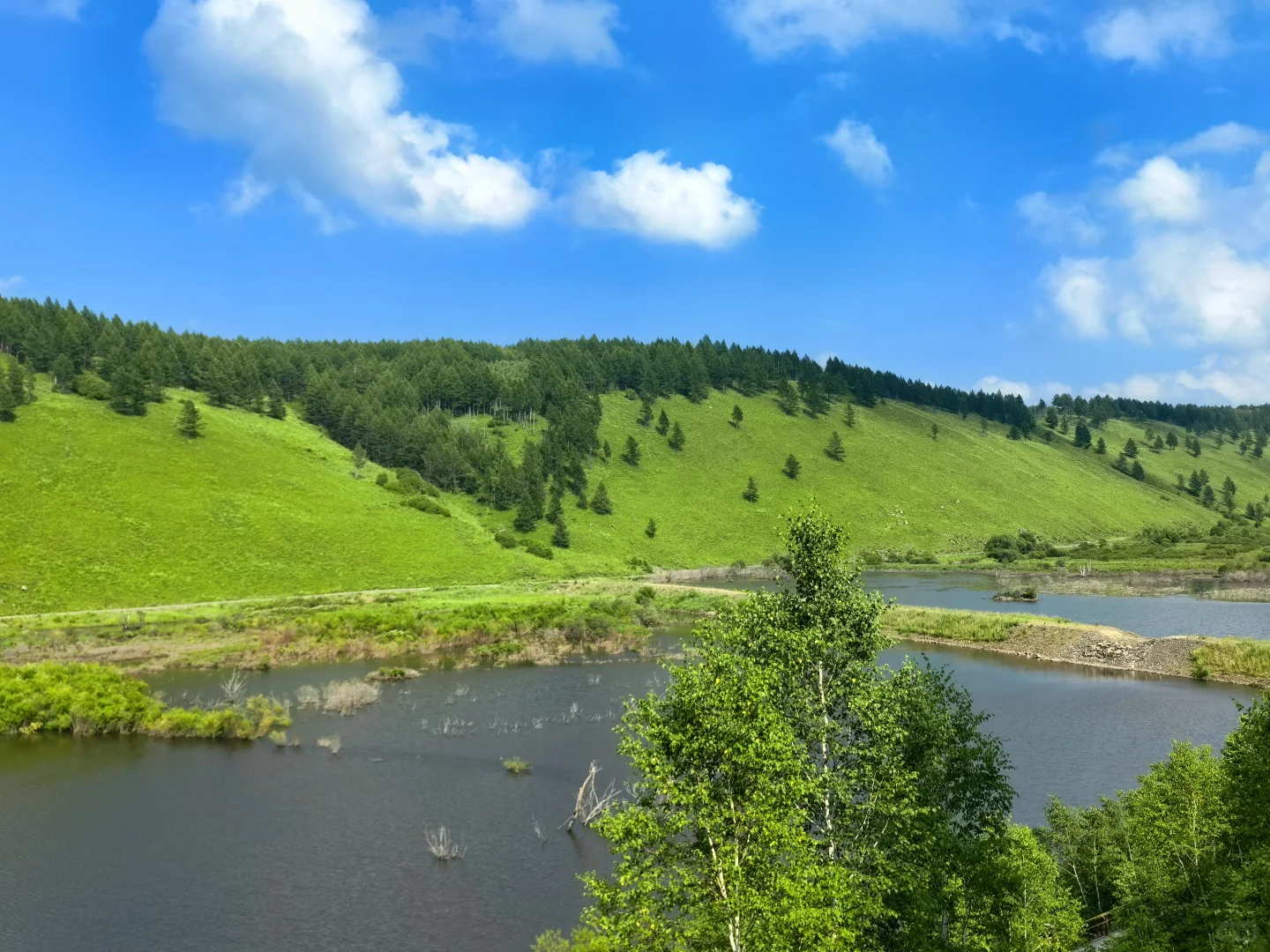 阿尔山Day2：奥伦布坎藏惊喜，五里泉淋雨