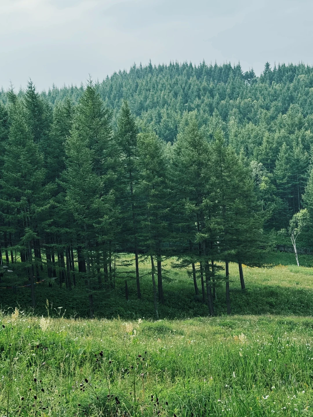 驼梁山攻略-周六石家庄市区出发版