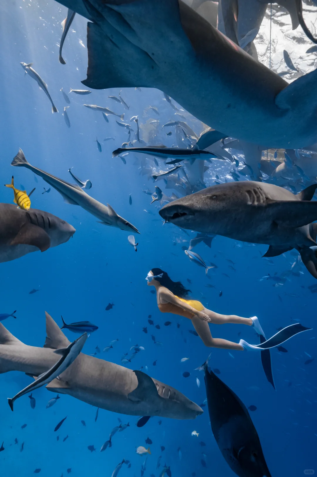 马尔代夫只花1W装出了5W｜0套路分享🏝💸