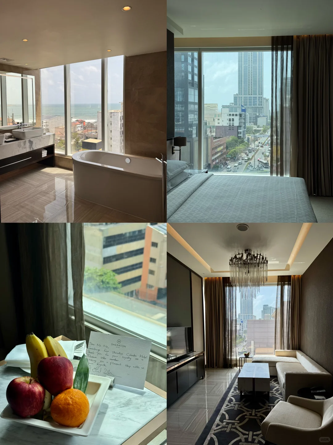 斯里兰卡🇱🇰8天环岛游攻略🧳人均4k！