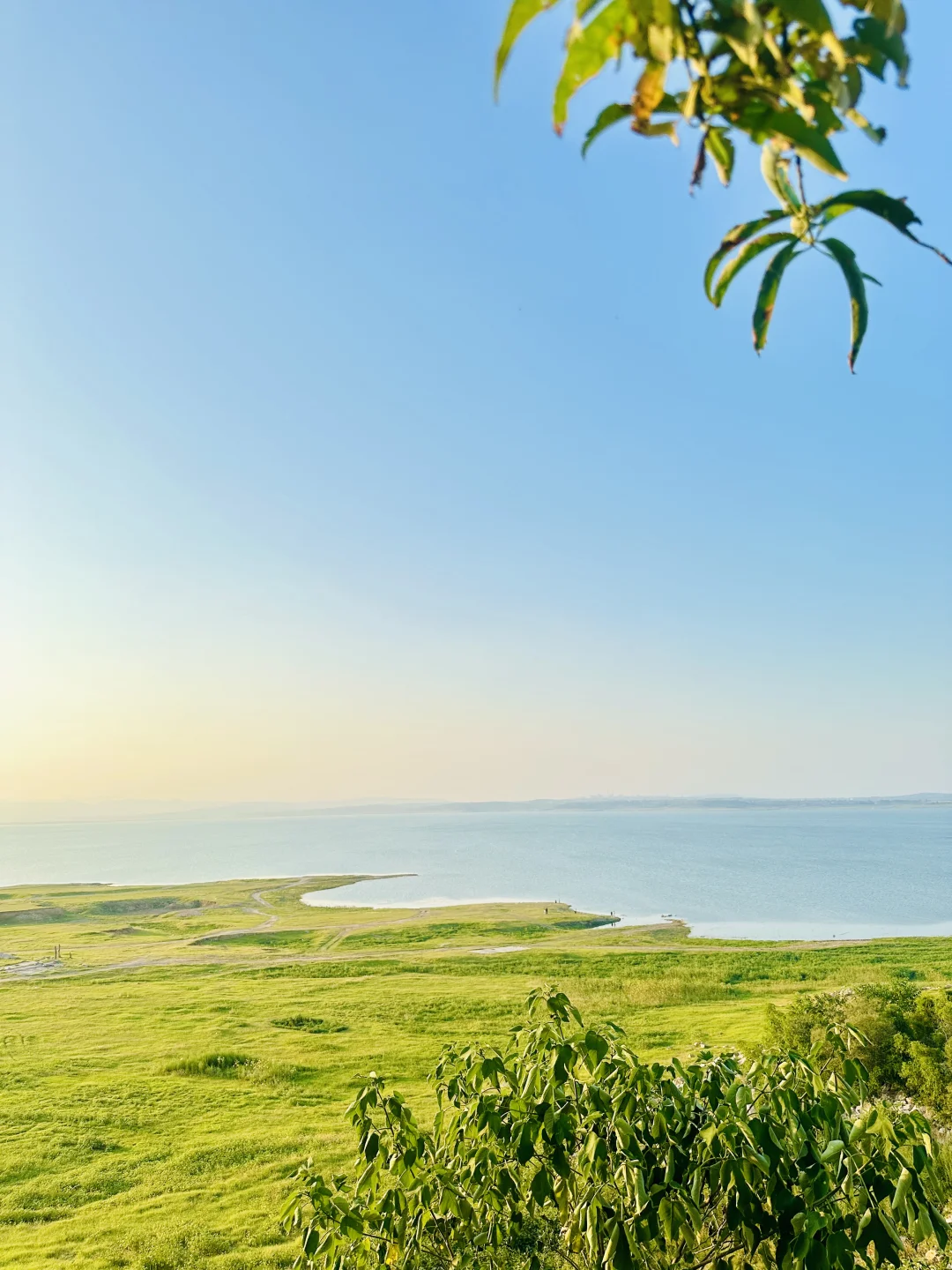 邯郸“阿勒泰”大草原，美的像一幅画🖼️