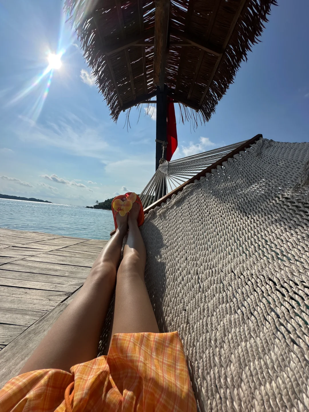 🐚 •*¨*•果冻海𓇼 🐬