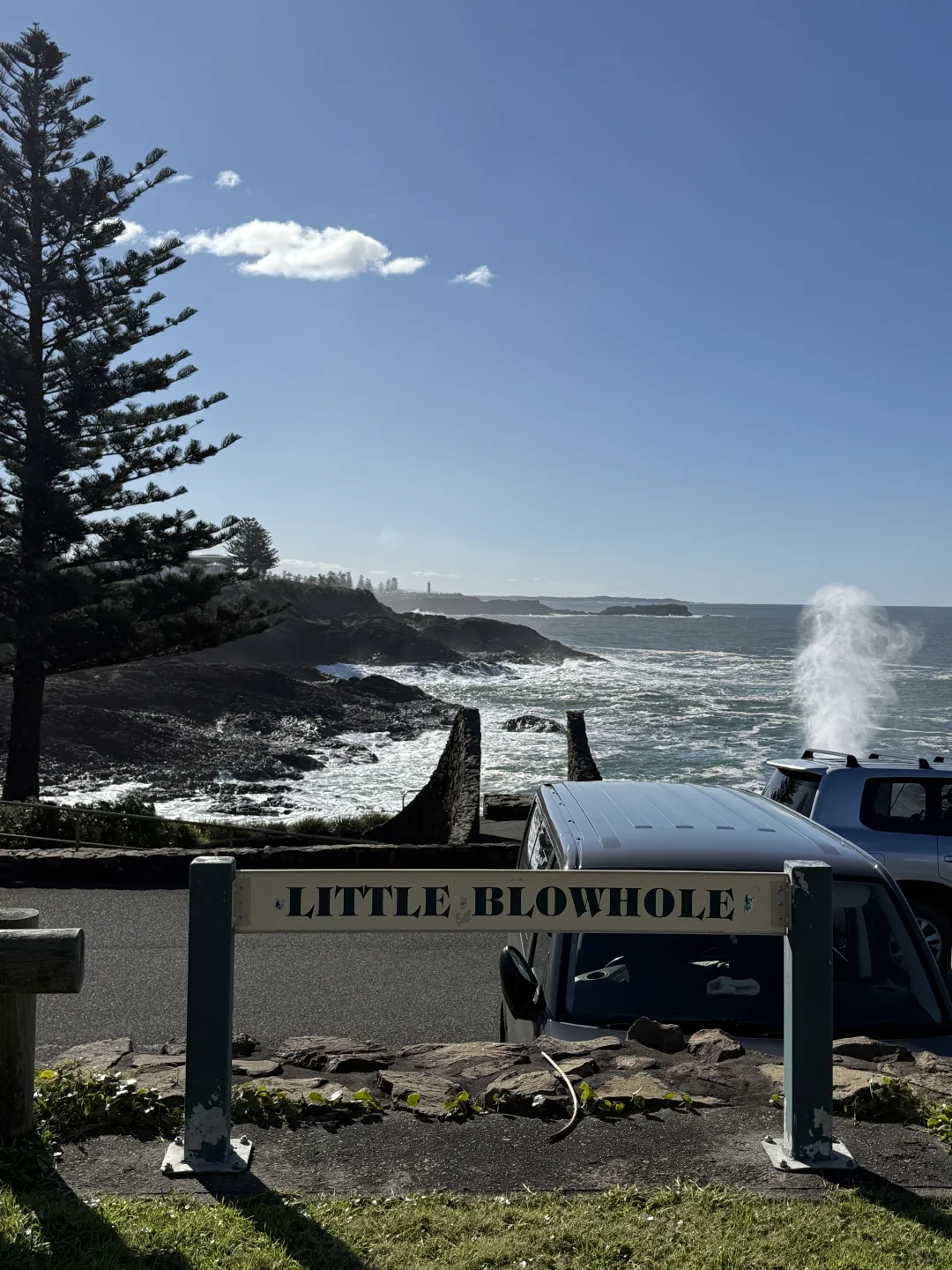 悉尼Kiama Gerringong超美的海岸