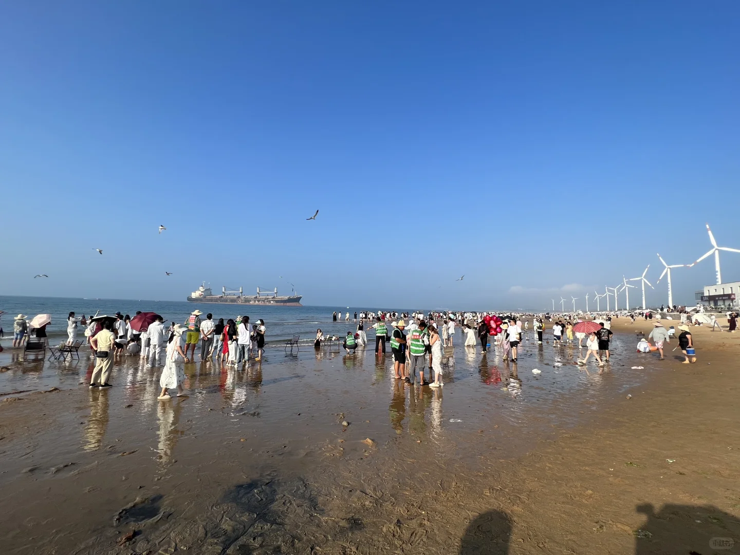 失业后，老公带一家子来威海旅游