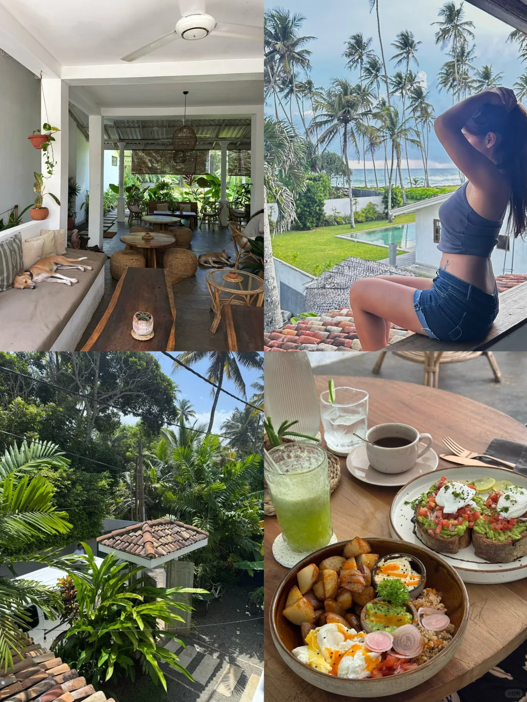 斯里兰卡🇱🇰8天环岛游攻略🧳人均4k！