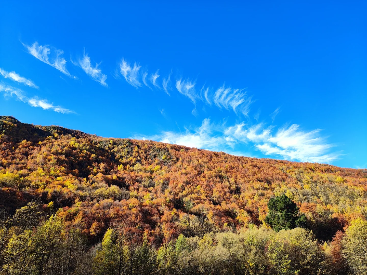 新西兰五一假期人均1.1w，7天6晚，不自驾版