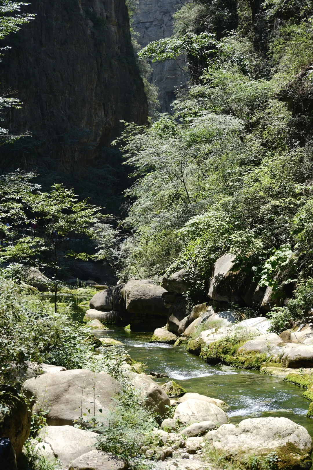 八泉峡⛰️｜适合所有人 不挤不晒还省腿攻略🔥
