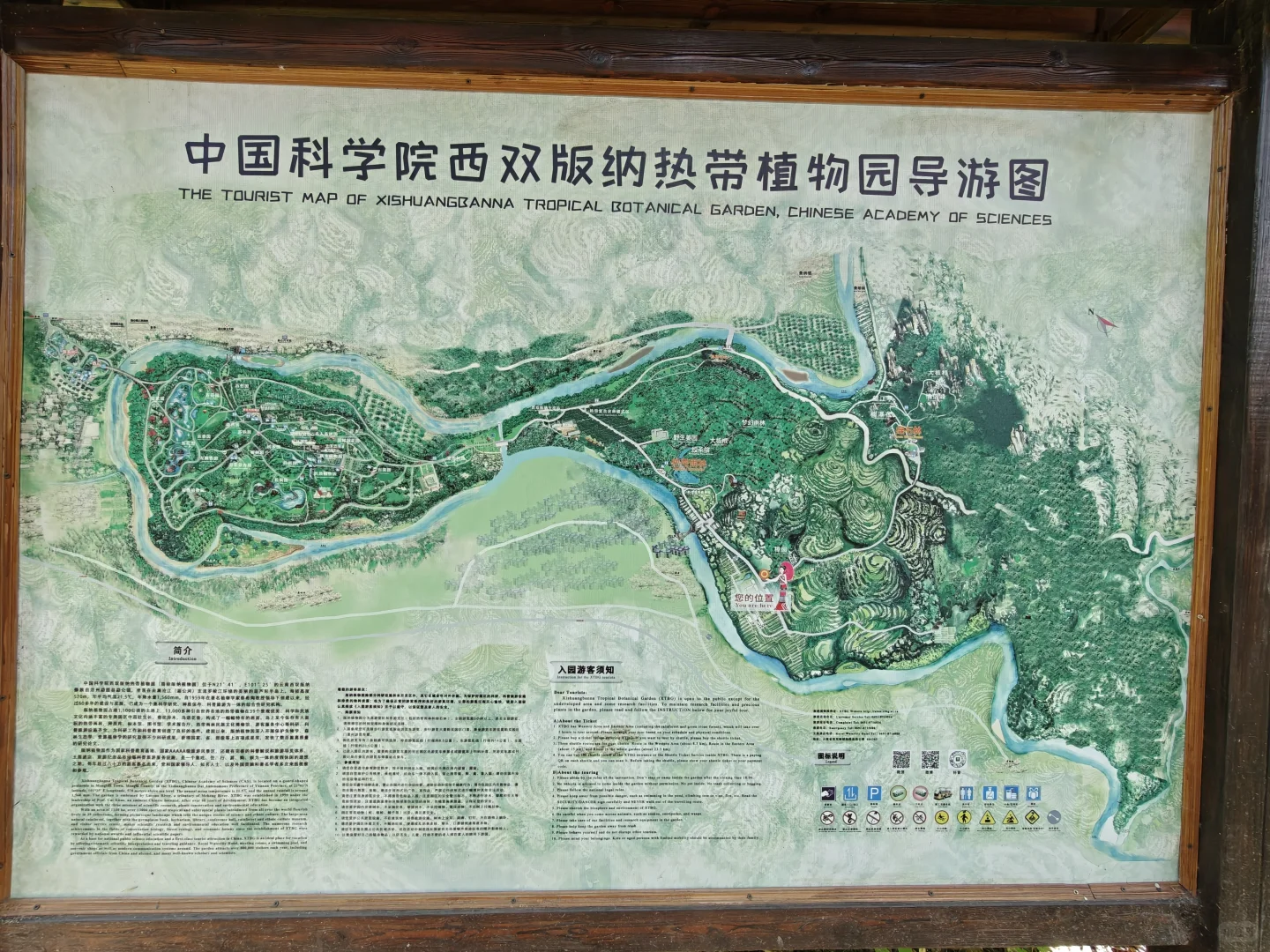 22km用脚丈量西双版纳热带植物园