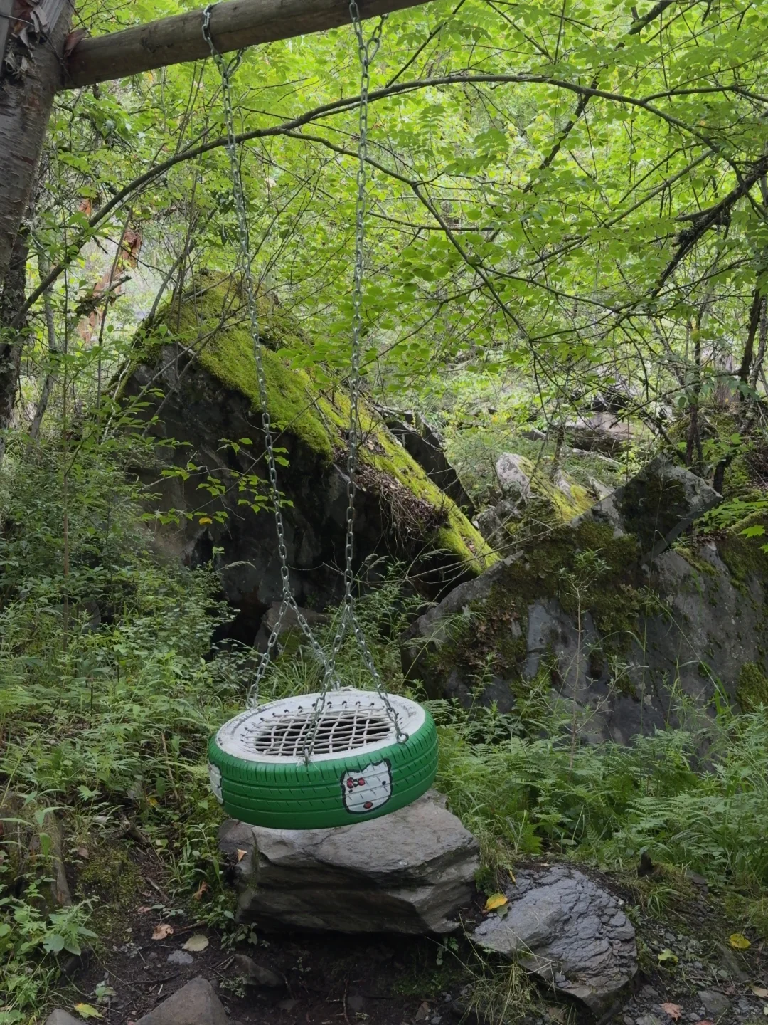 茂县 | | 叠溪松坪沟