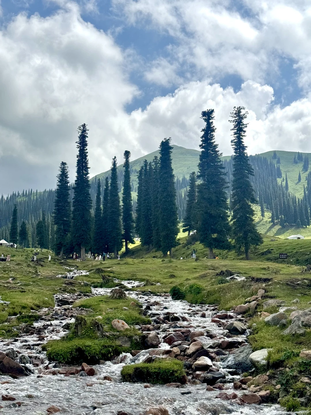 6月24日 那拉提 ~ 新疆游