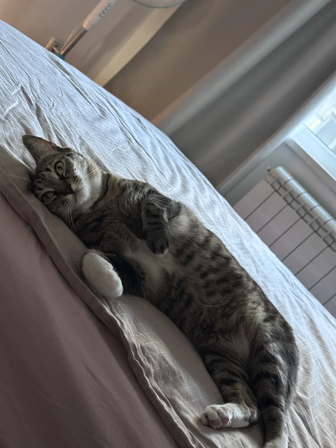 塞尔维亚｜一个人的南斯拉夫旧梦