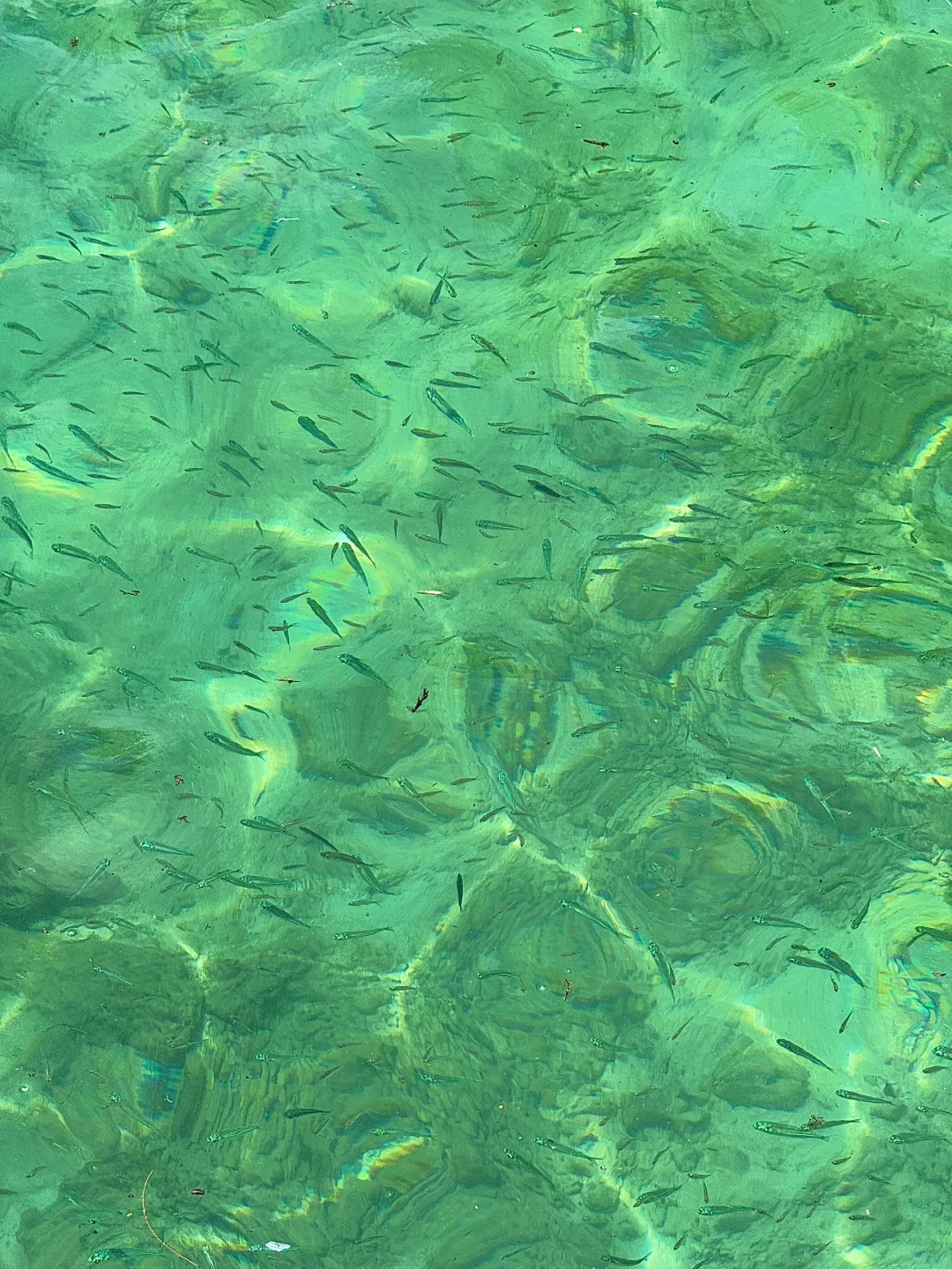 广州打工人挑战每周出玩第1️⃣站：亚庇 ！！！