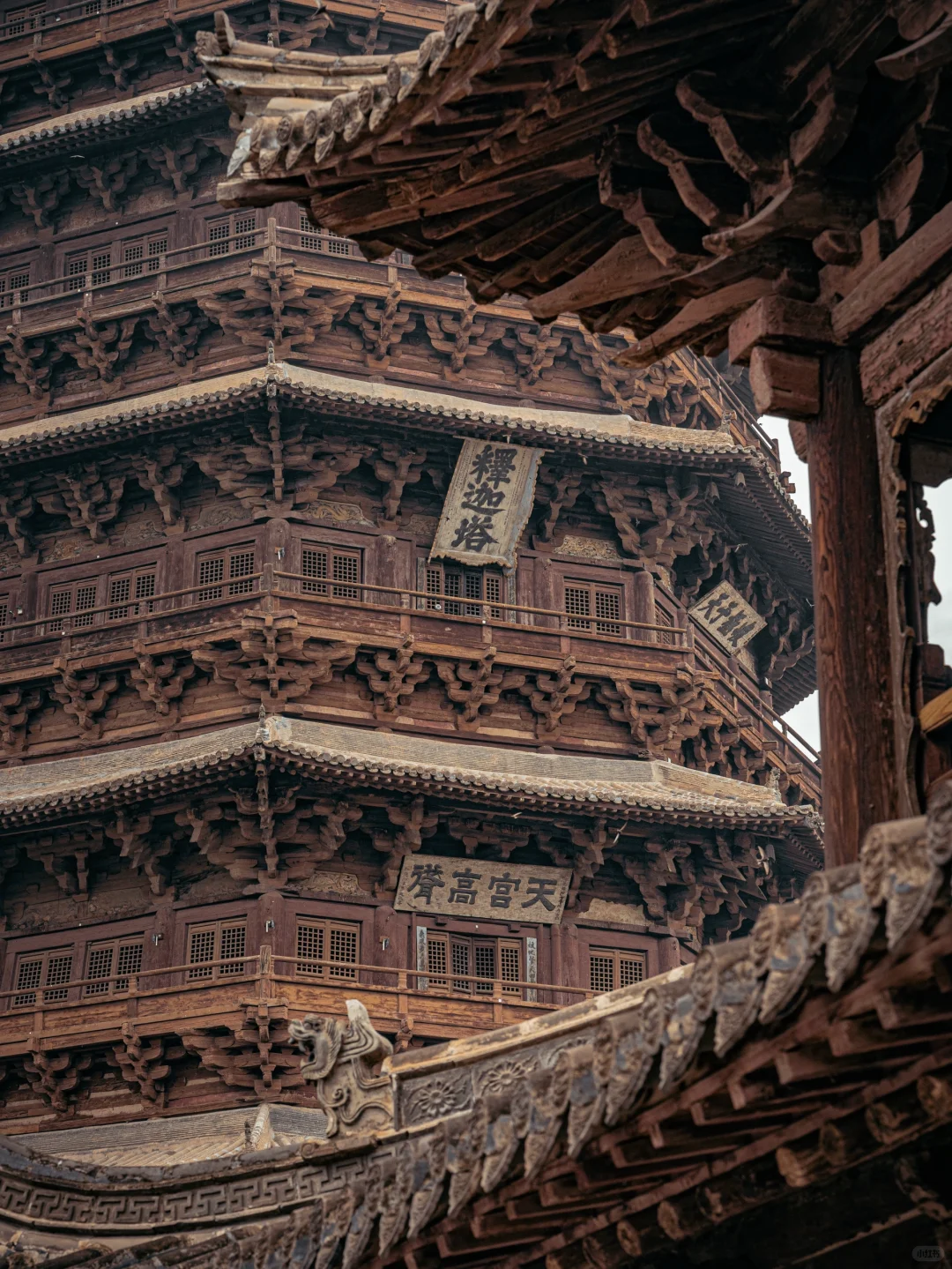 山西大同真的很适合避暑❗20°C都不用开空调～