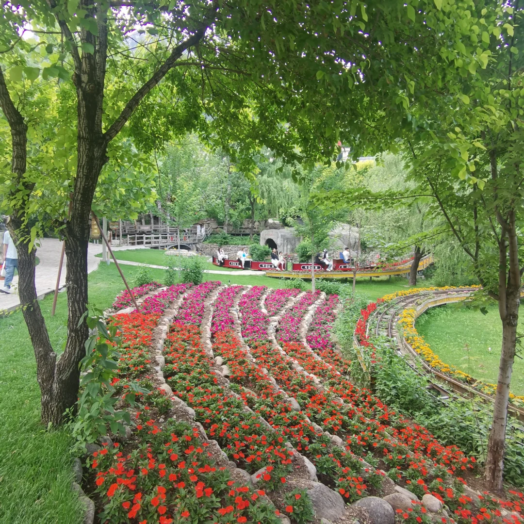 🌲 天津出发！带老小自驾避暑仙境🥰