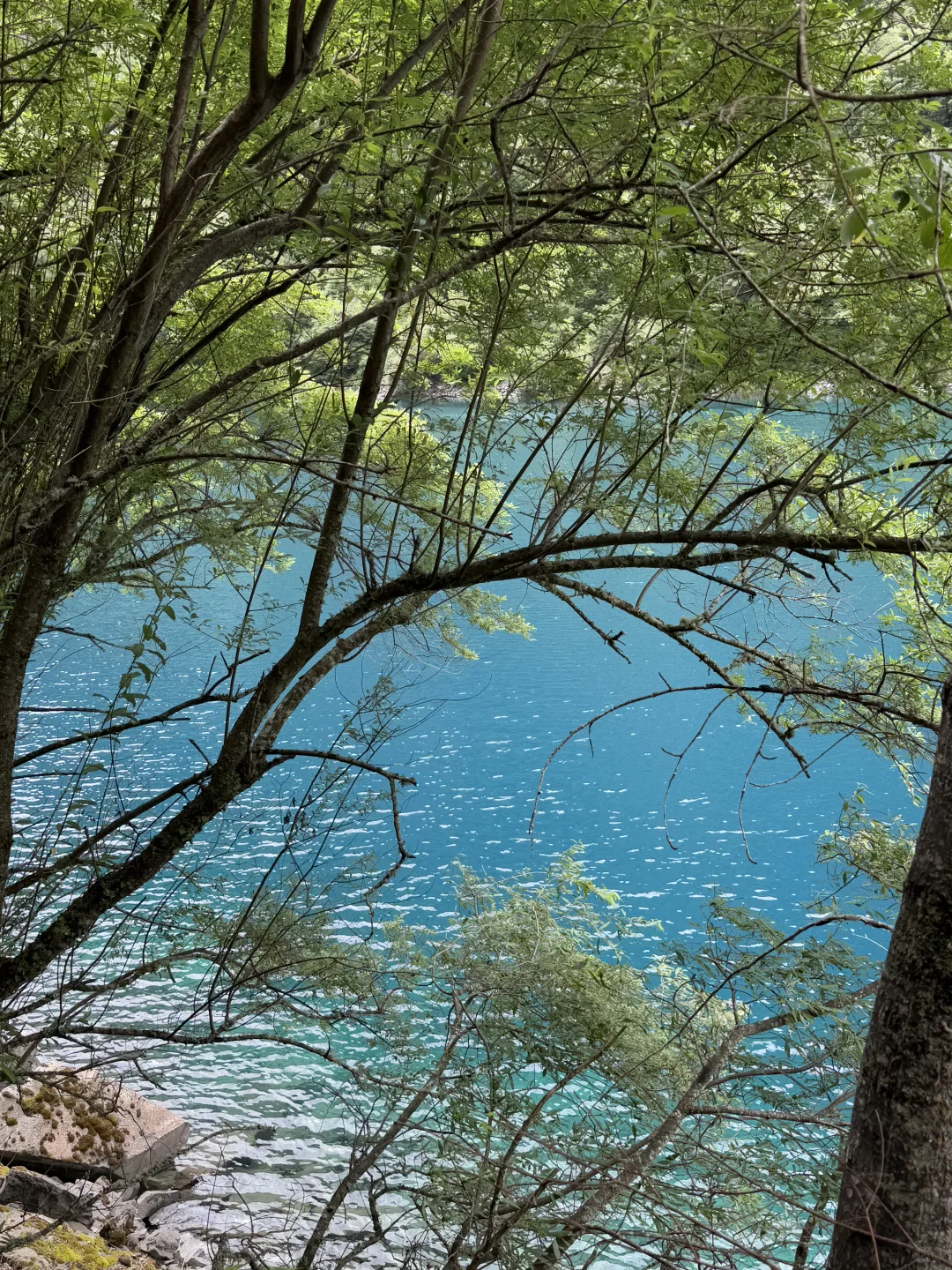 茂县 | | 叠溪松坪沟