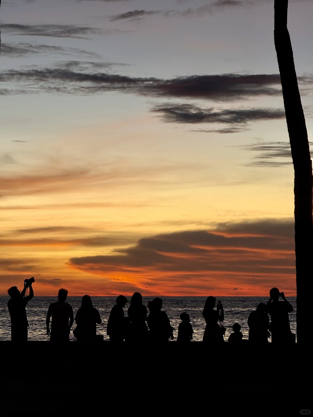 广州打工人挑战每周出玩第1️⃣站：亚庇 ！！！