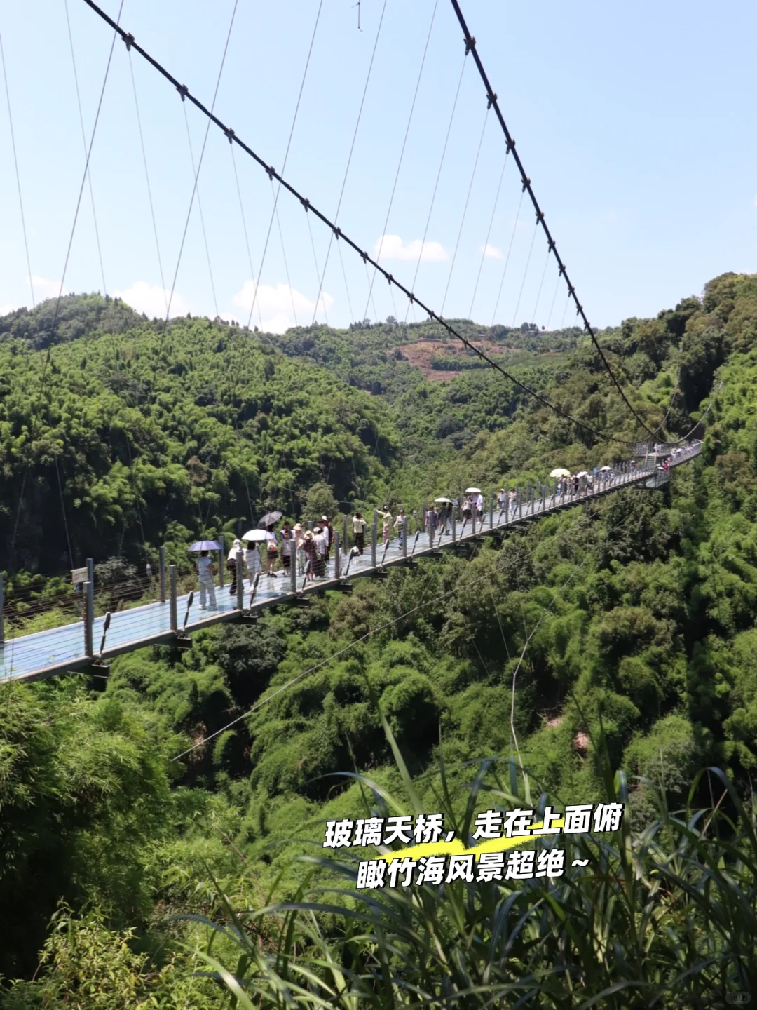 川西竹海📍1h直达，玻璃天桥直通云端！