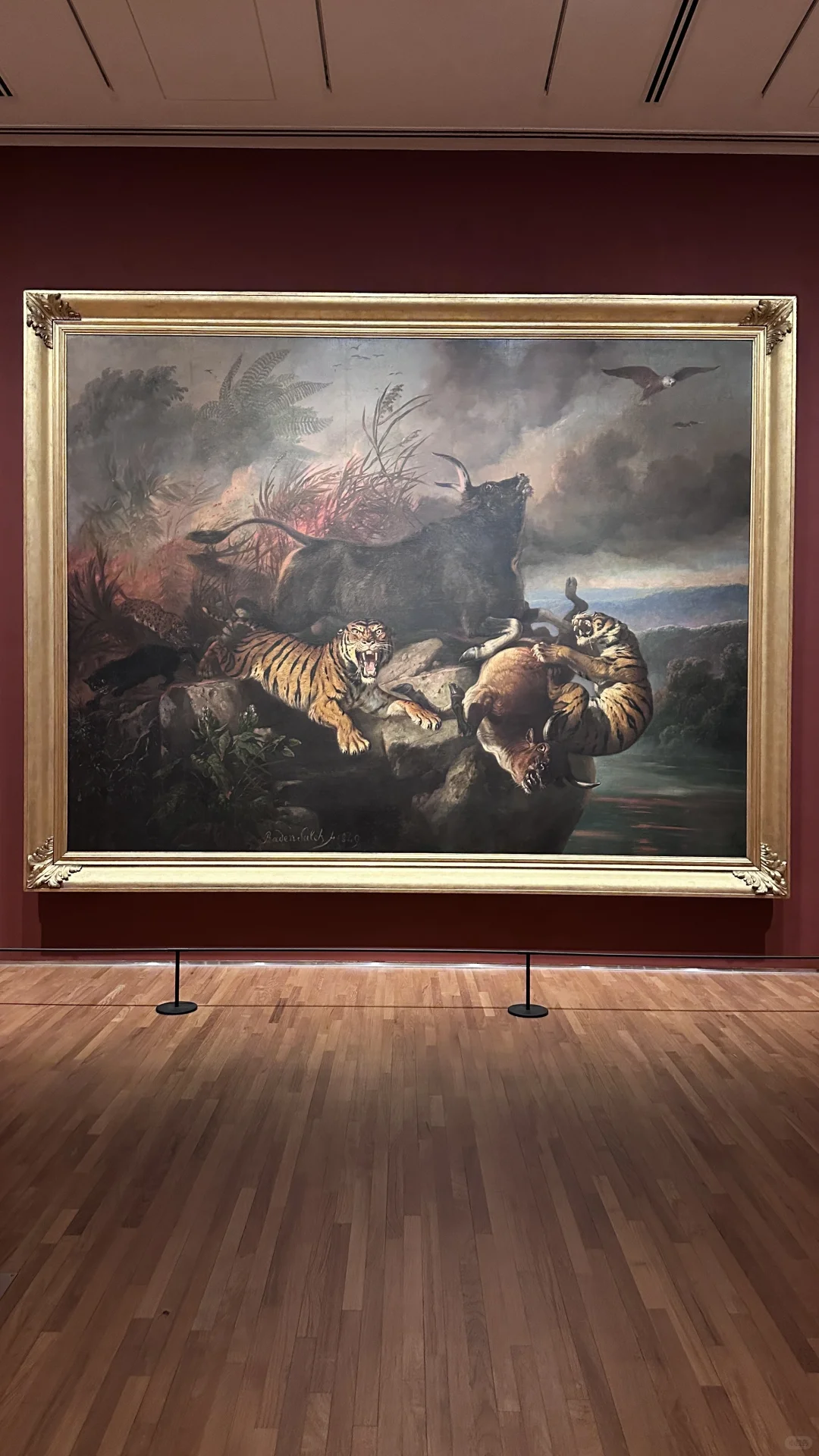 女生勇闯新加坡两天一晚