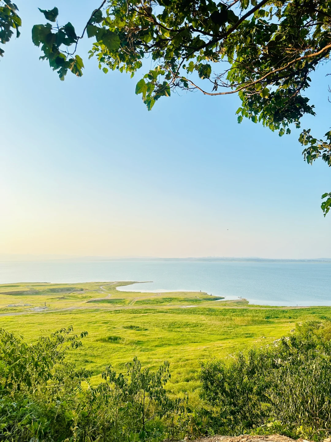 邯郸“阿勒泰”大草原，美的像一幅画🖼️