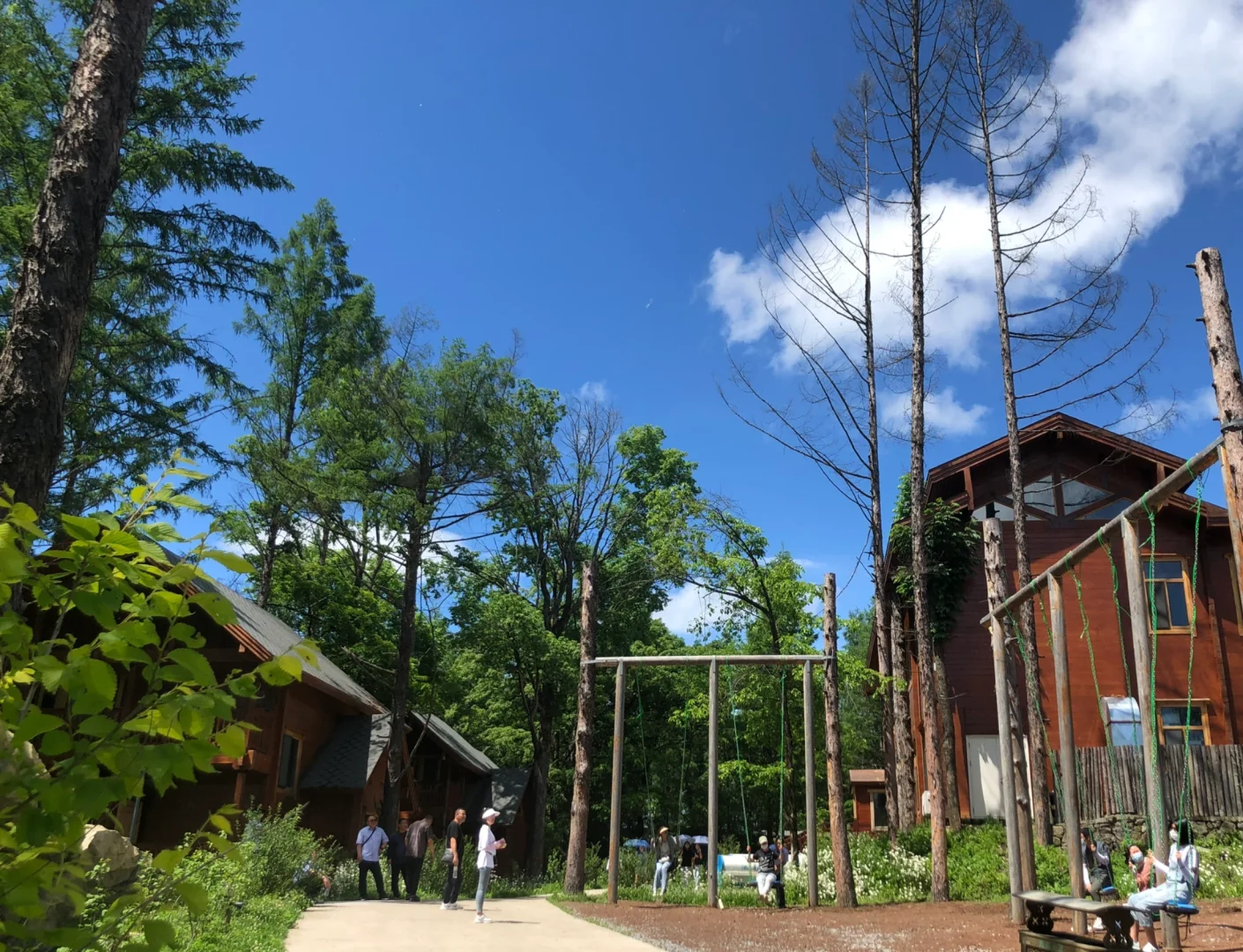 讷殷古城景区招商啦🥳错过血亏👀👀