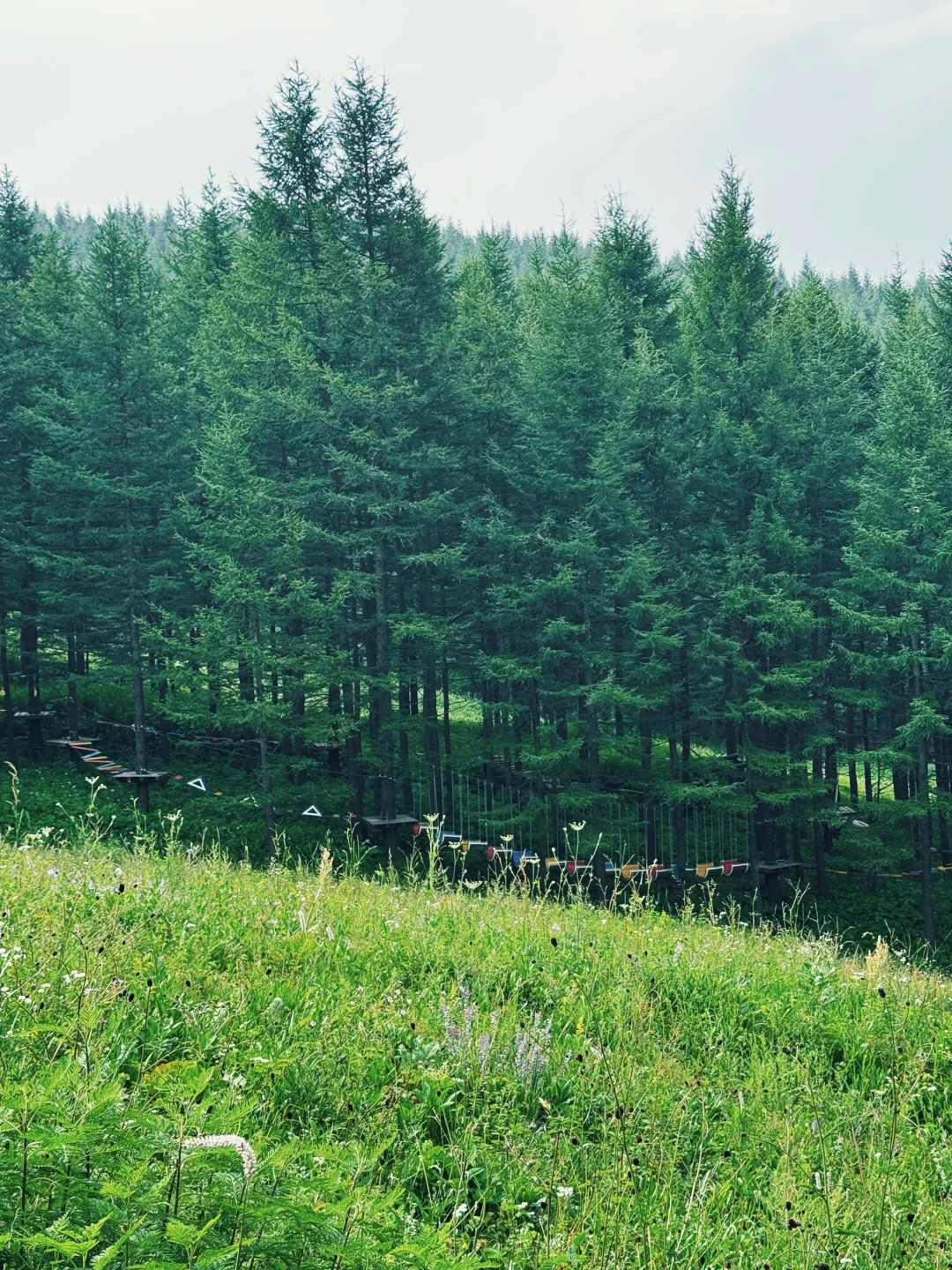 驼梁山攻略-周六石家庄市区出发版