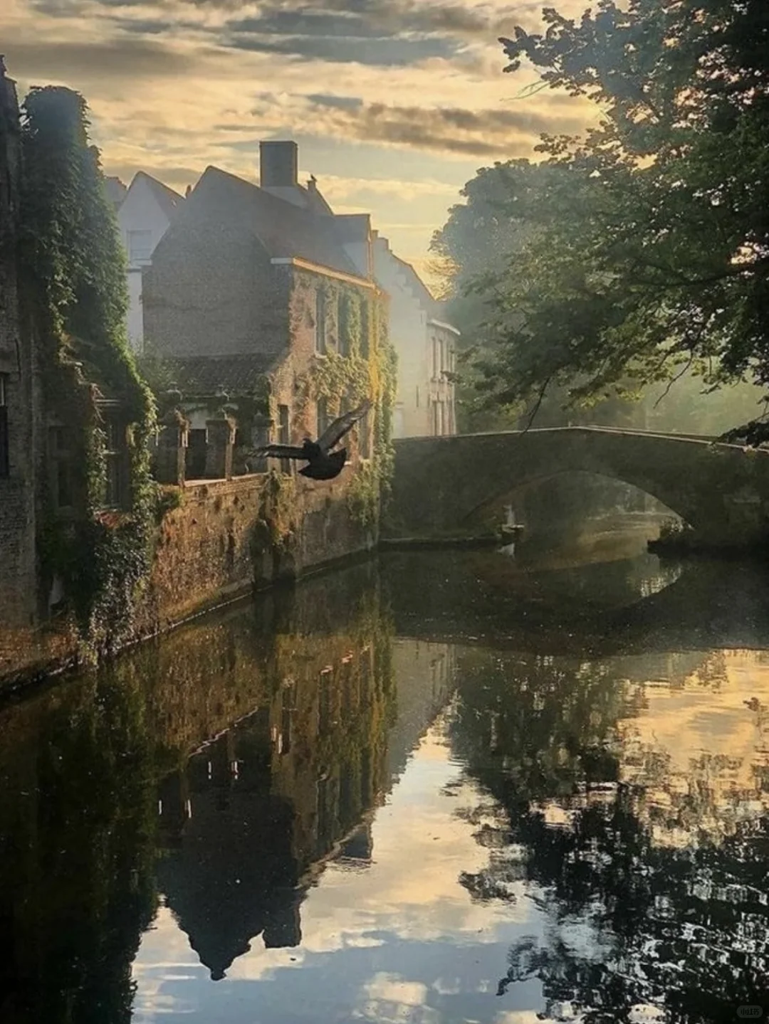 🇧🇪比利时｜欧洲心脏最美童话小镇