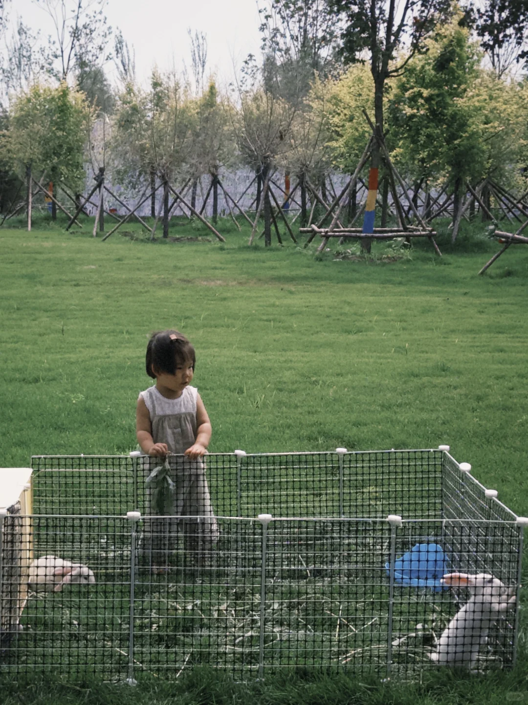 原来大庆周边还有这么多免费的好地方❗️❗️