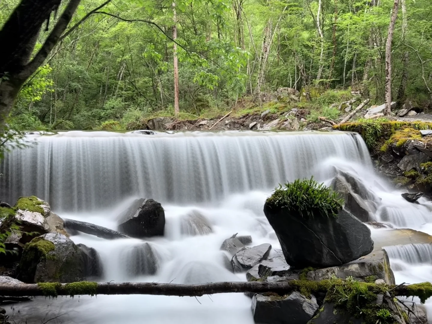 茂县 | | 叠溪松坪沟
