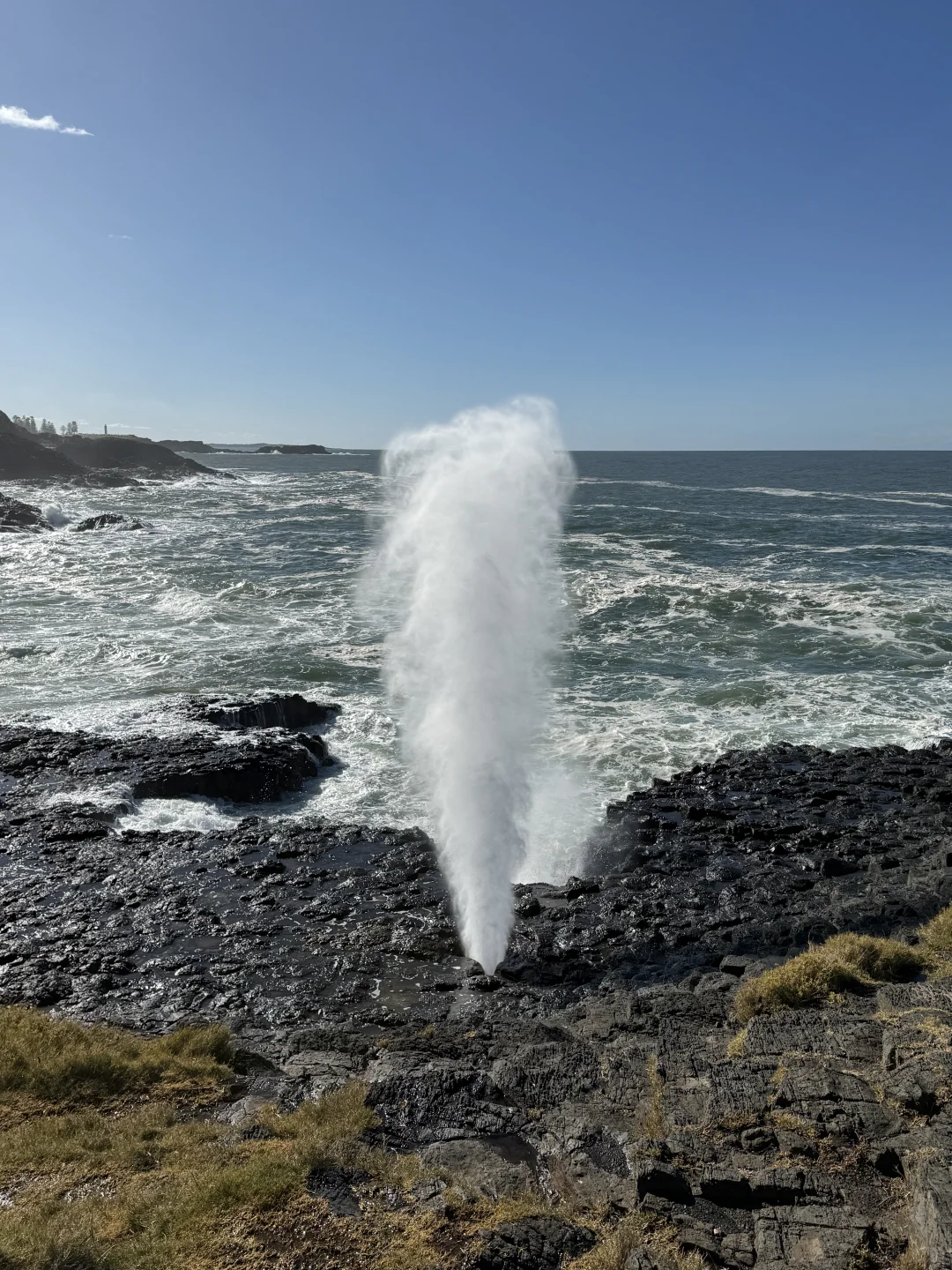 悉尼Kiama Gerringong超美的海岸