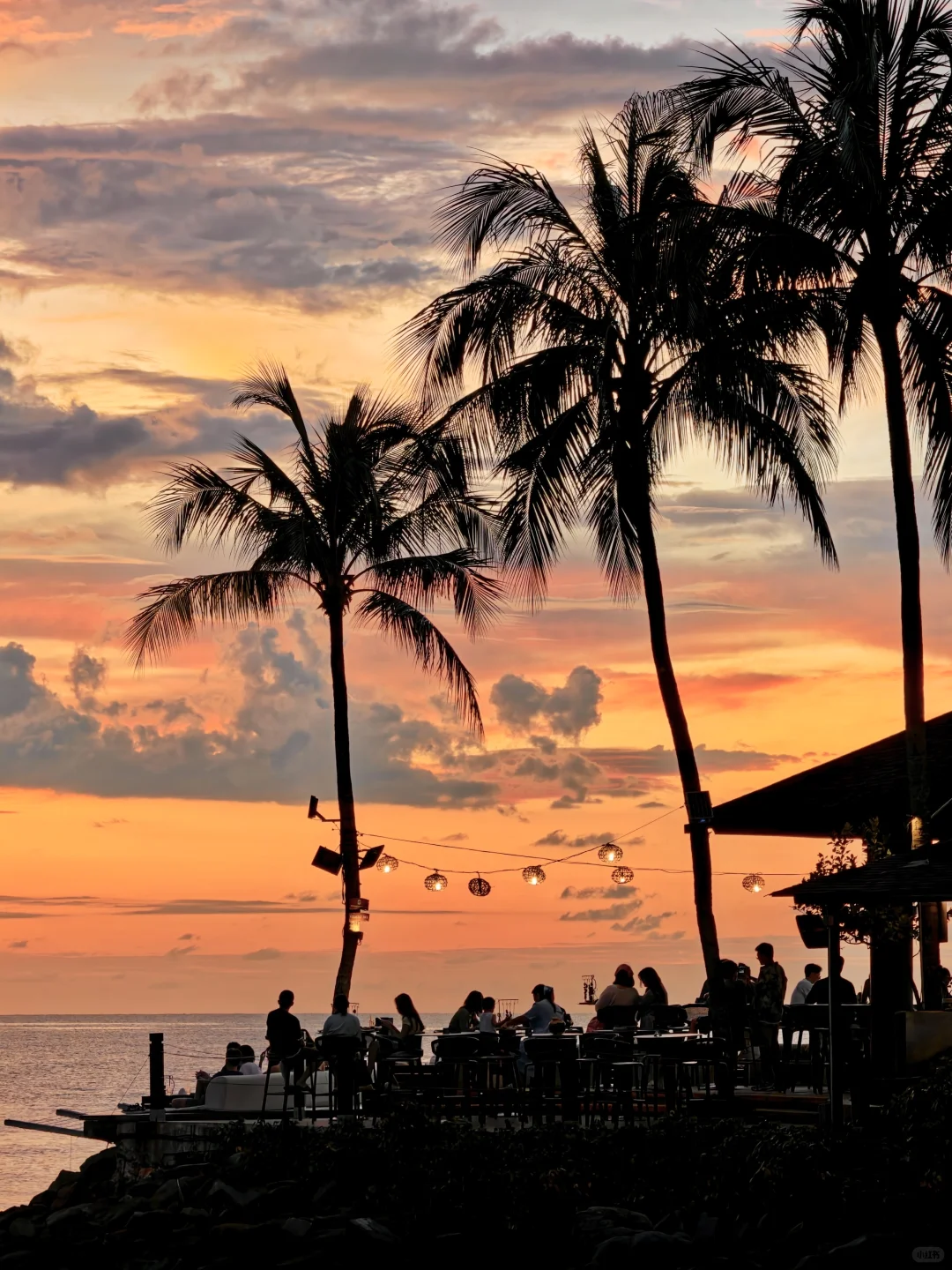 亚庇日落6.16豪赌成功，不愧为世界第三大！