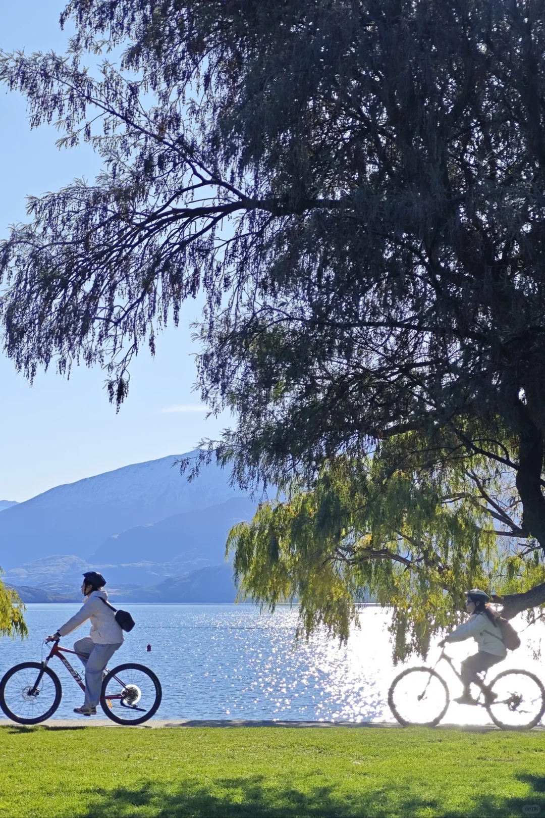 新西兰五一假期人均1.1w，7天6晚，不自驾版