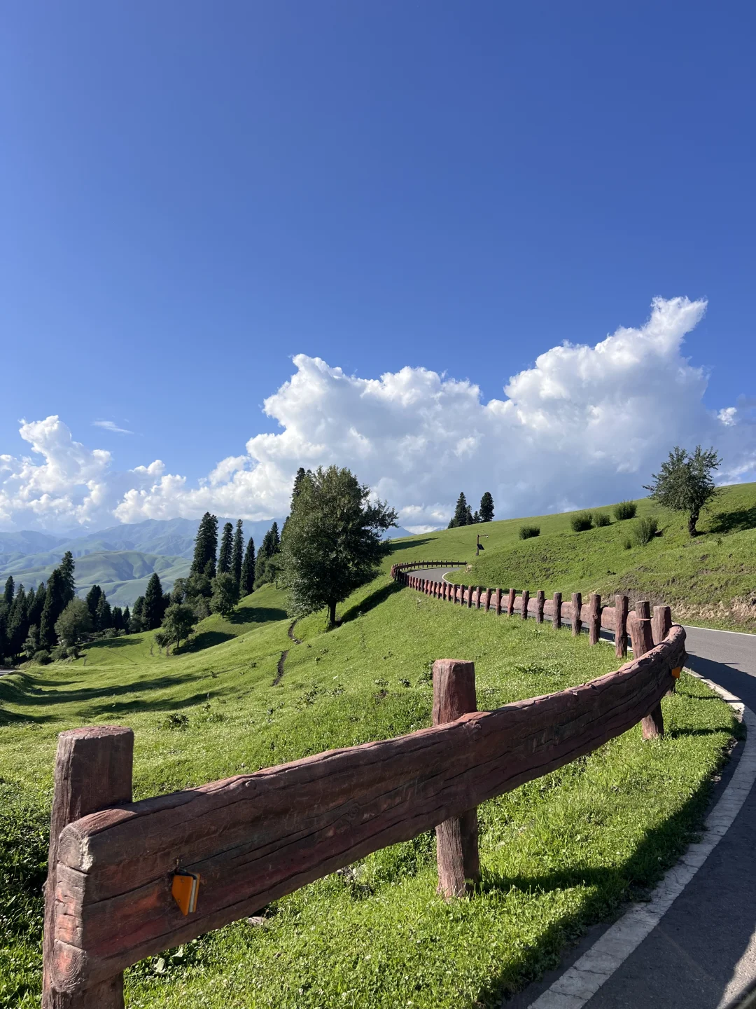 6月24日 那拉提 ~ 新疆游