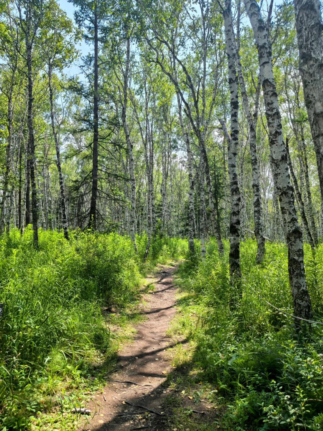 阿尔山Day2：奥伦布坎藏惊喜，五里泉淋雨